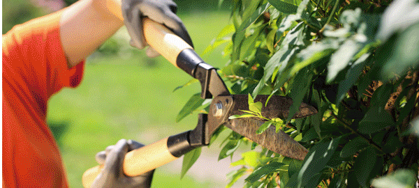 Bricolage & Jardin-Jardin-Jardin-euroshopping